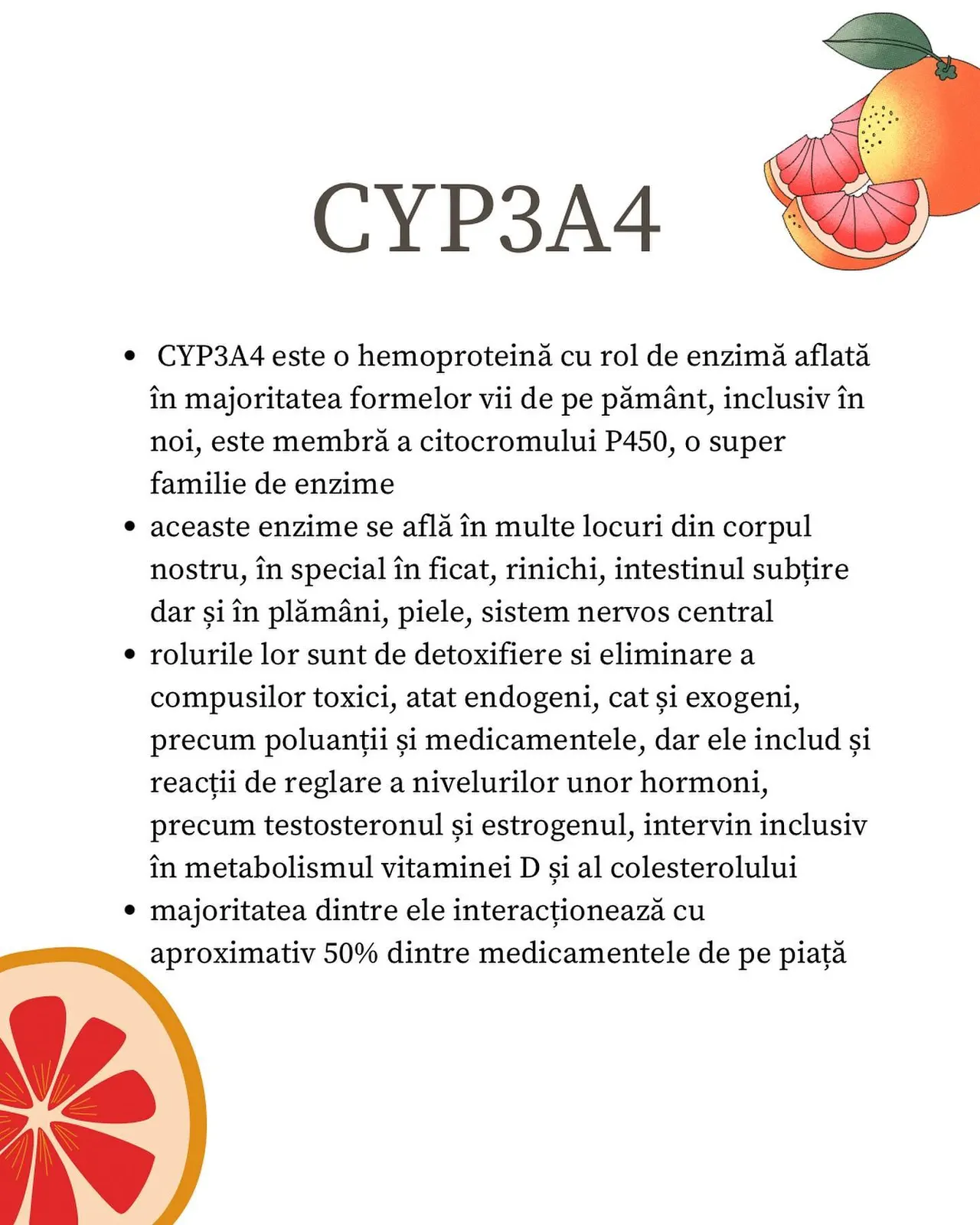 • CYPЗА4 este o hemoproteină cu rol de enzimă aflată