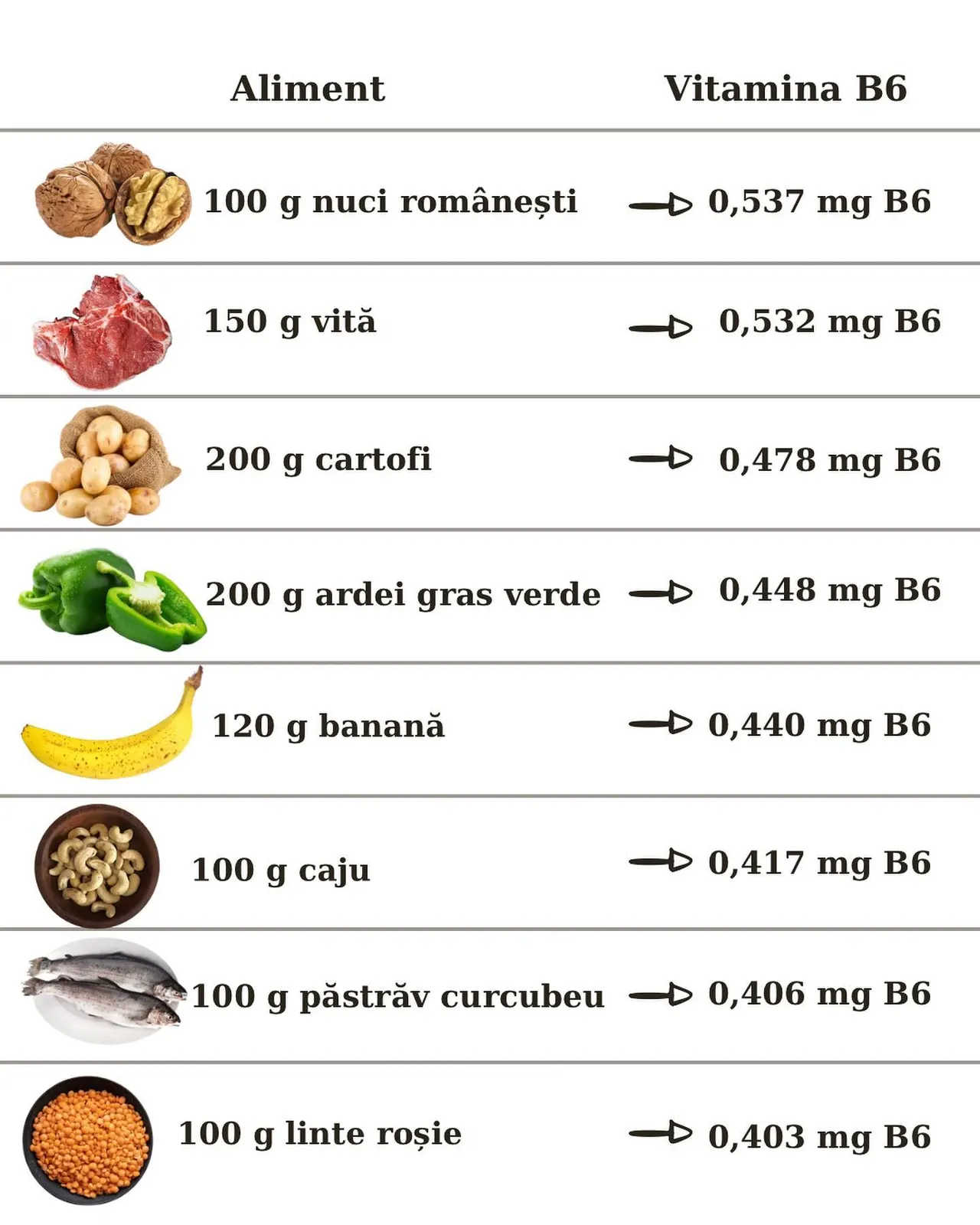 Aliment