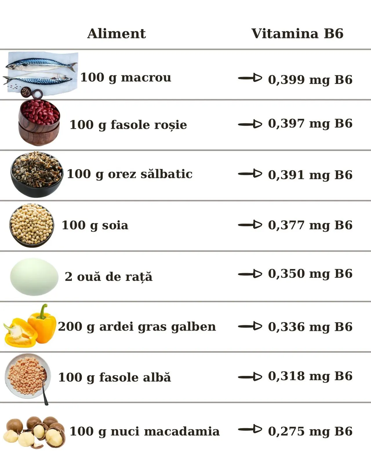 Aliment