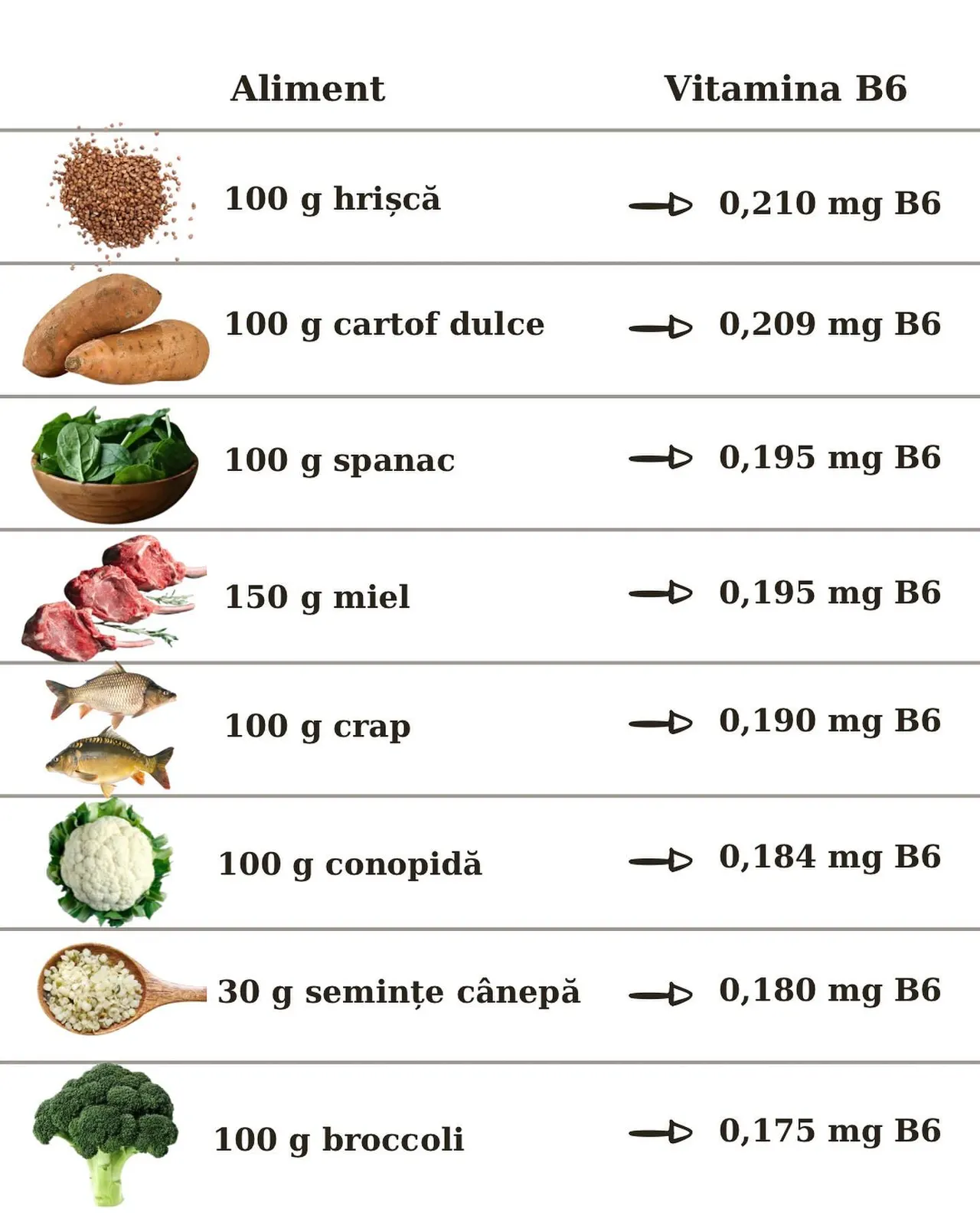 Aliment