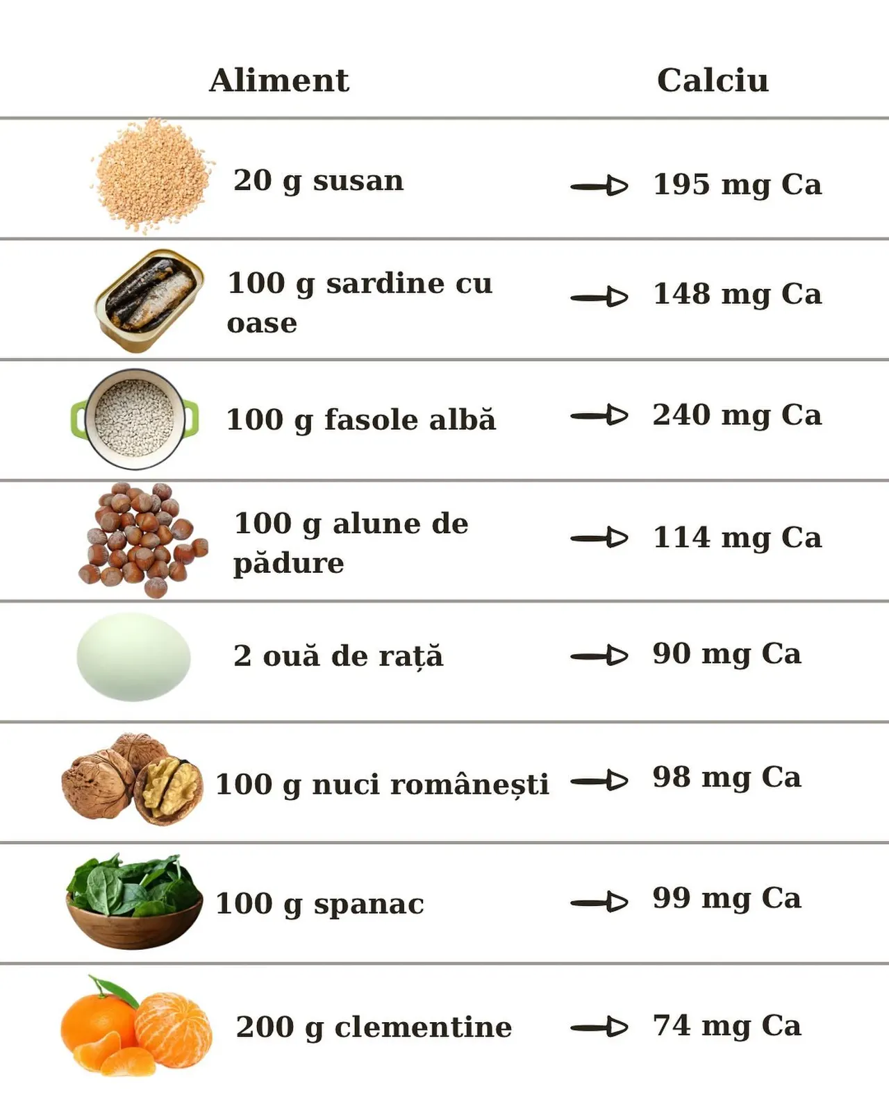 Aliment