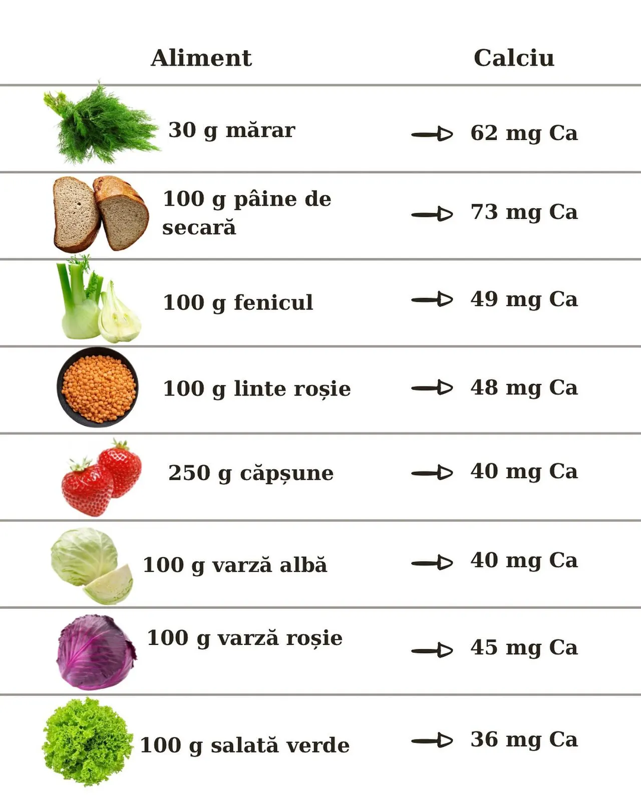 Aliment