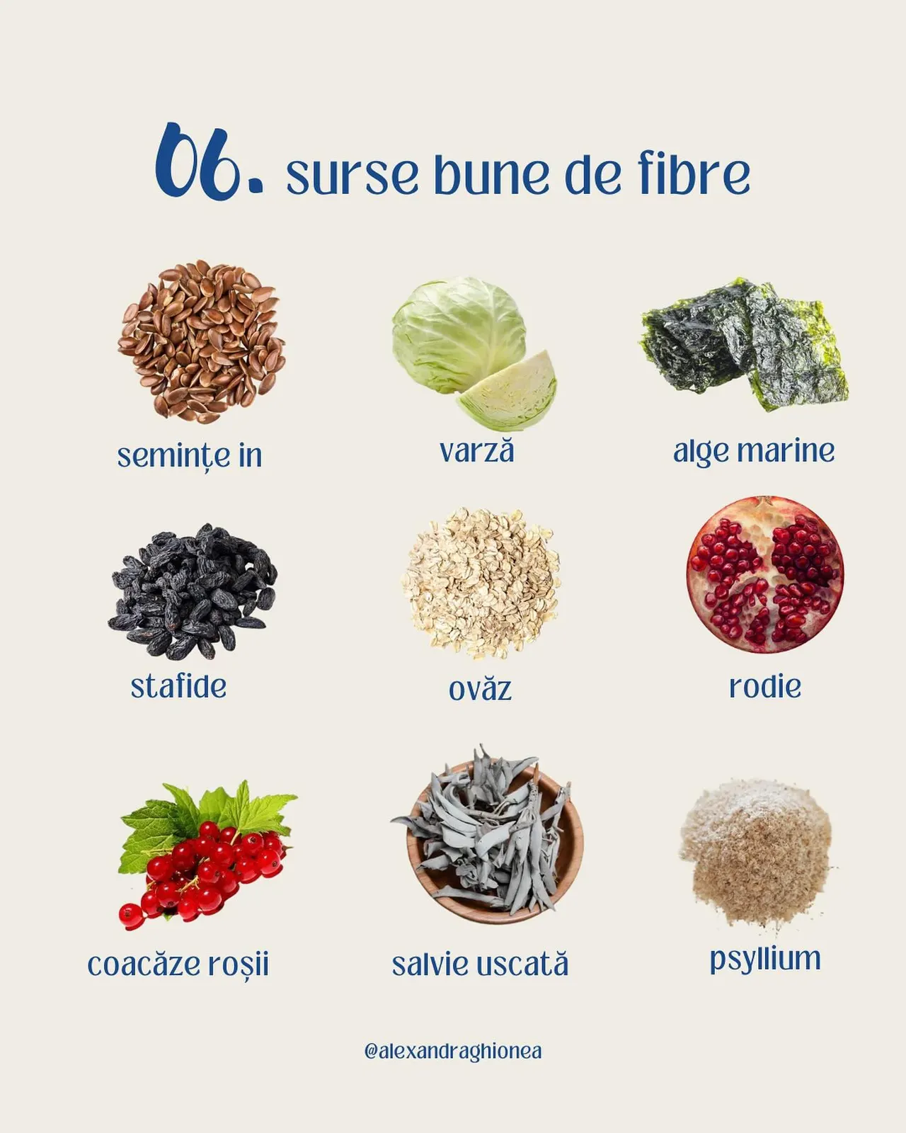 06. surse bune de fibre
