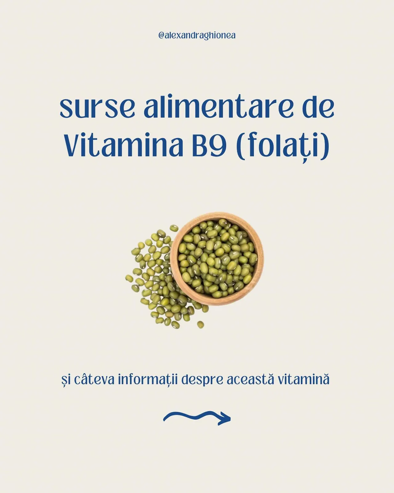 surse alimentare de