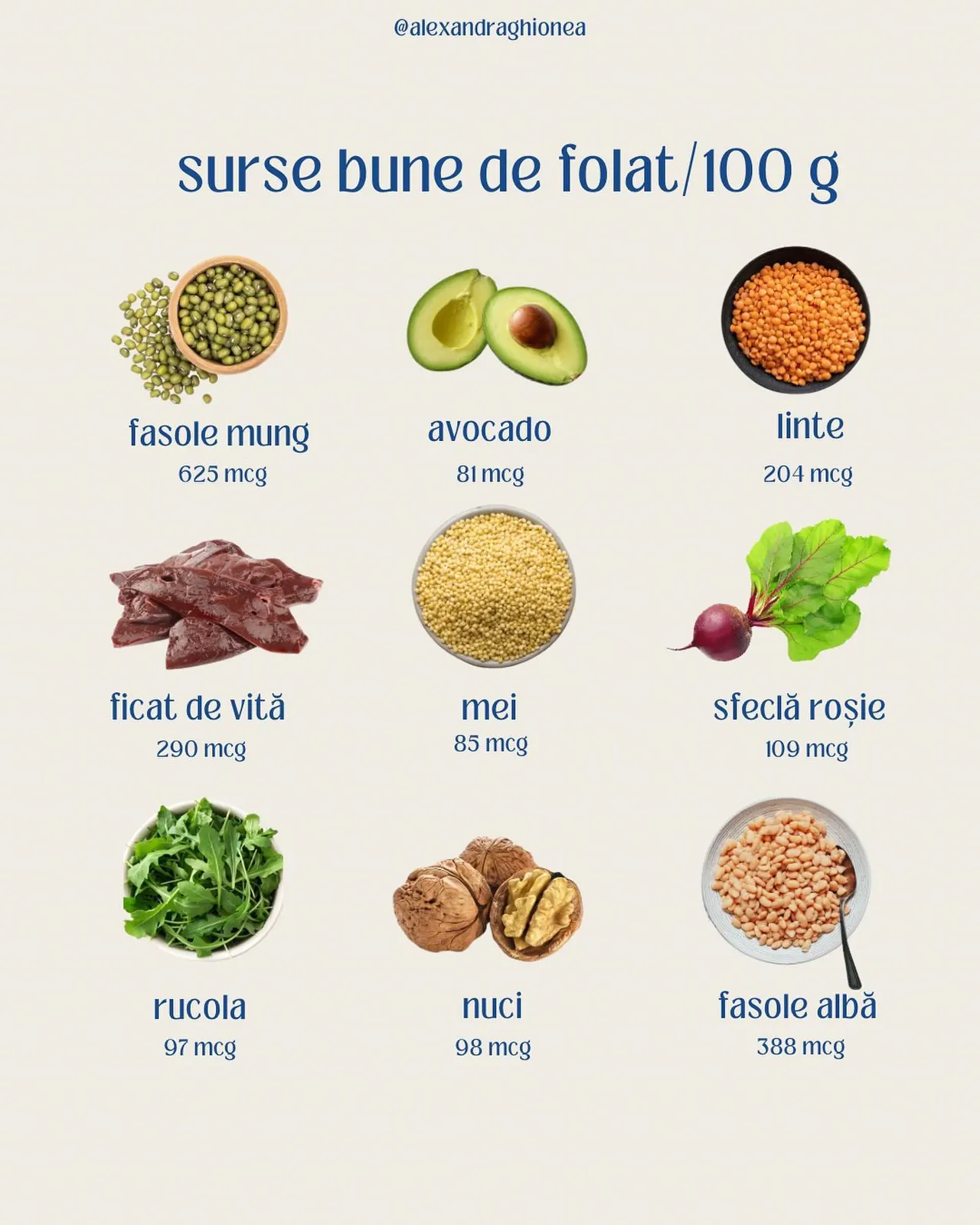surse bune de folat/100 g