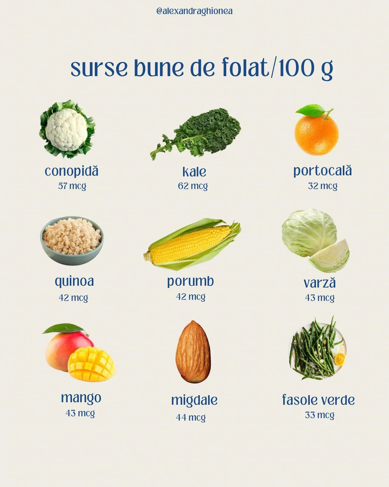 surse bune de folat/100 g
