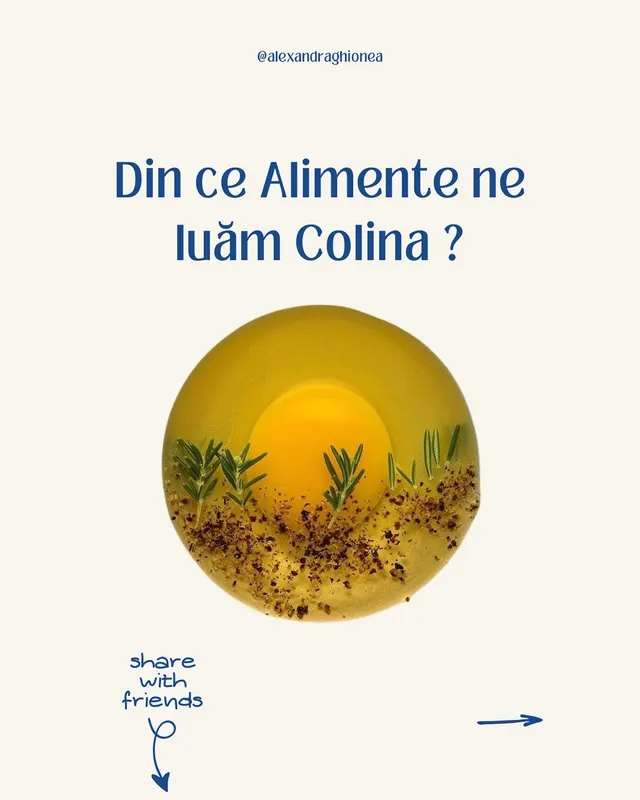 Din ce Alimente ne