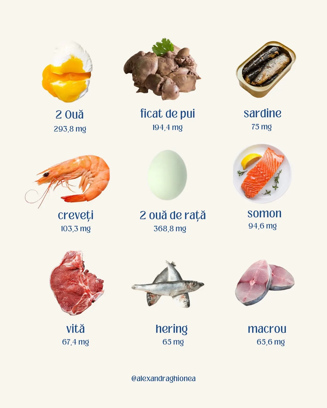 sardine