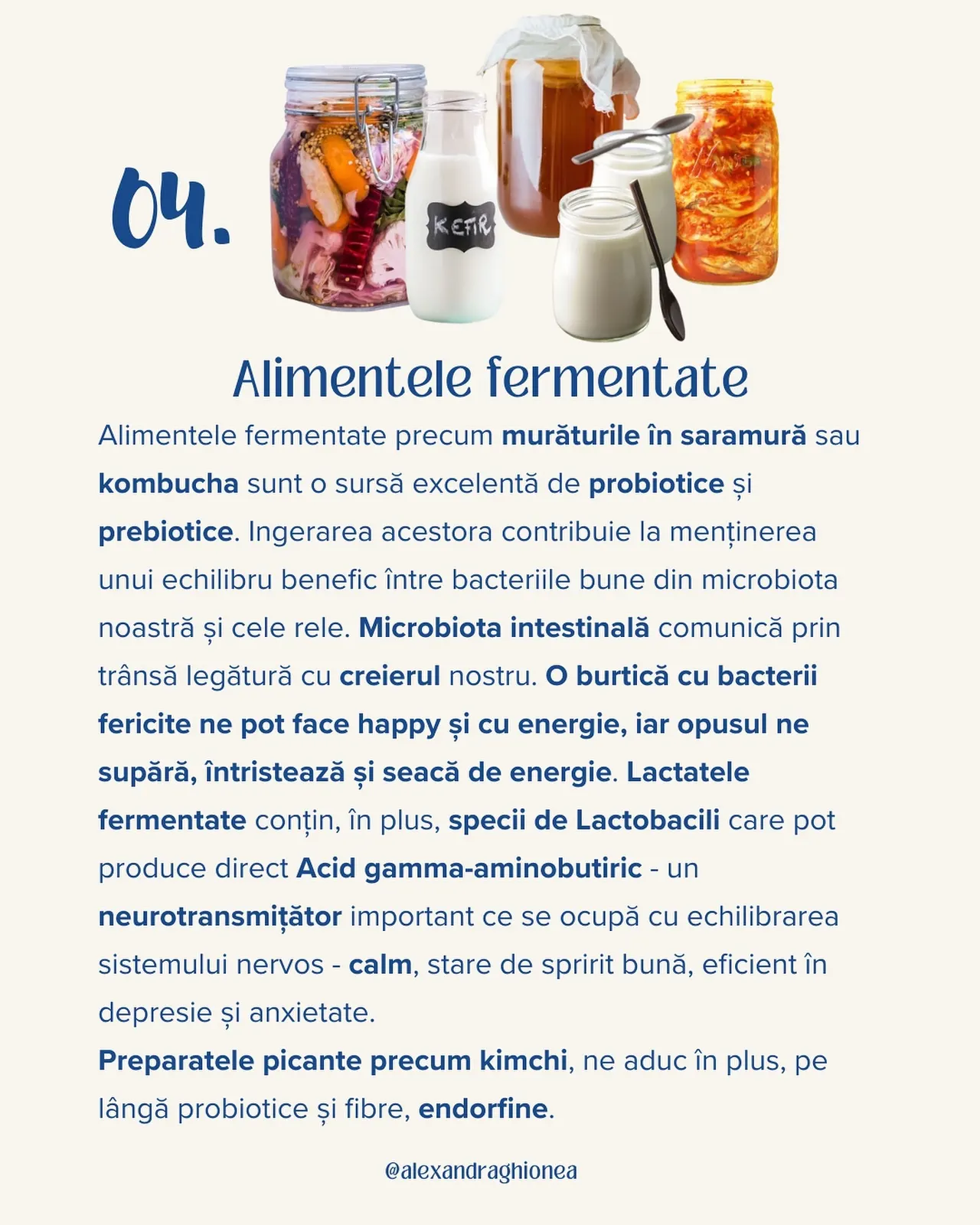 Alimentele fermentate