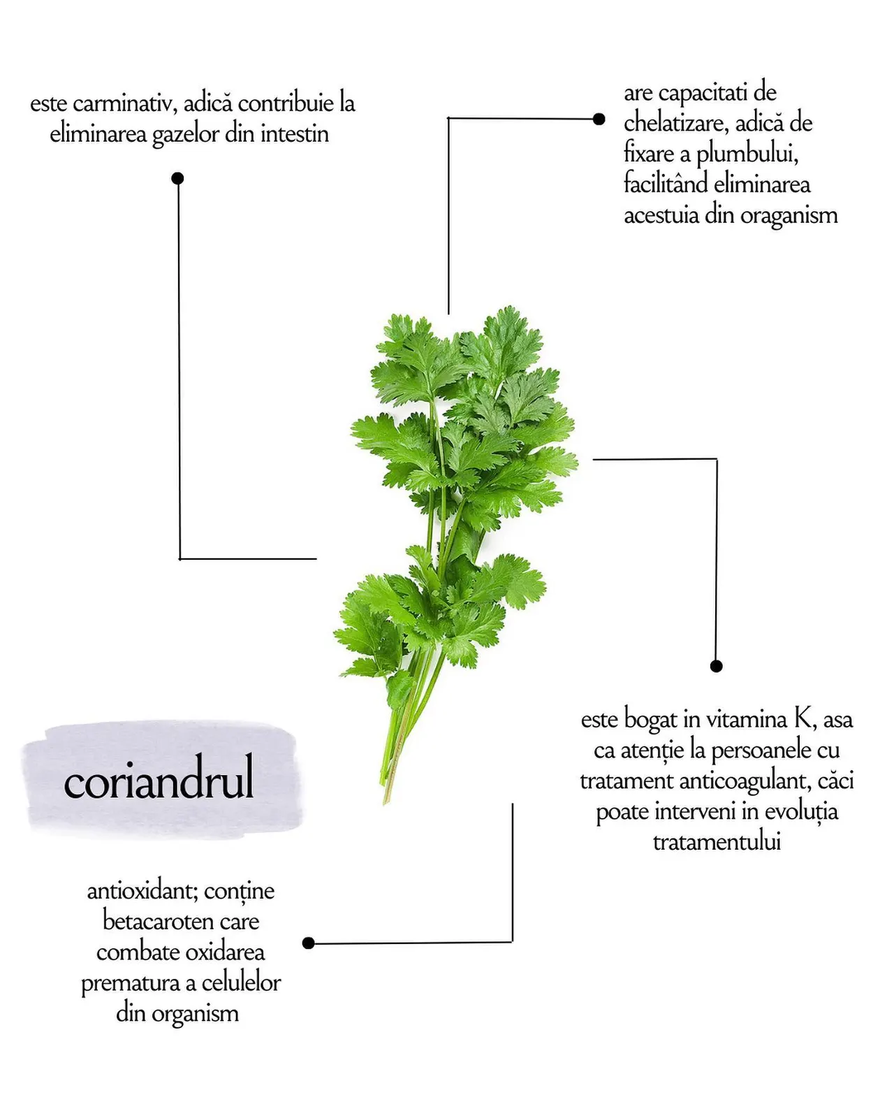 are capacitati de