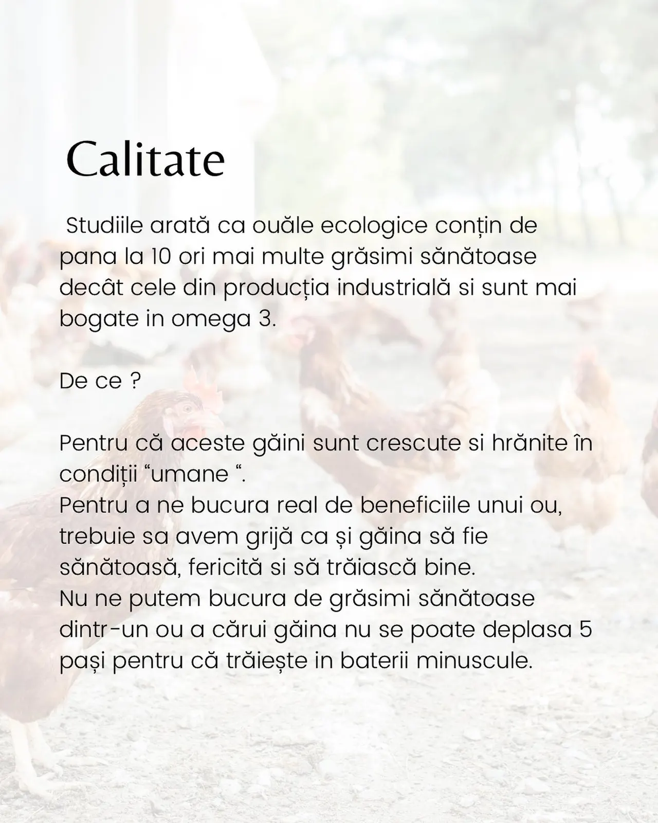 Calitate