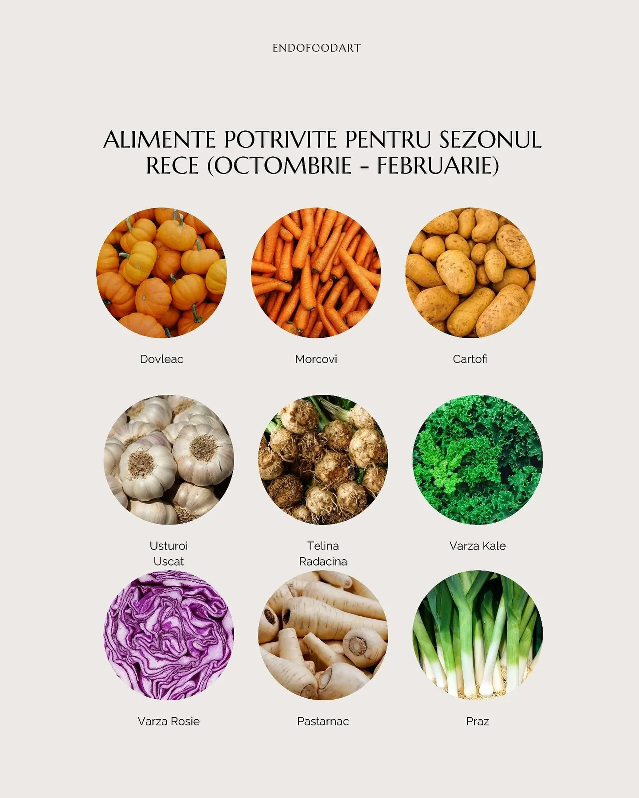 ALIMENTE POTRIVITE PENTRU SEZONUL
