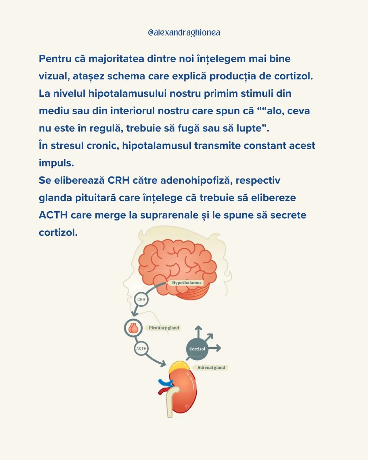 Pentru că majoritatea dintre noi înțelegem mai bine