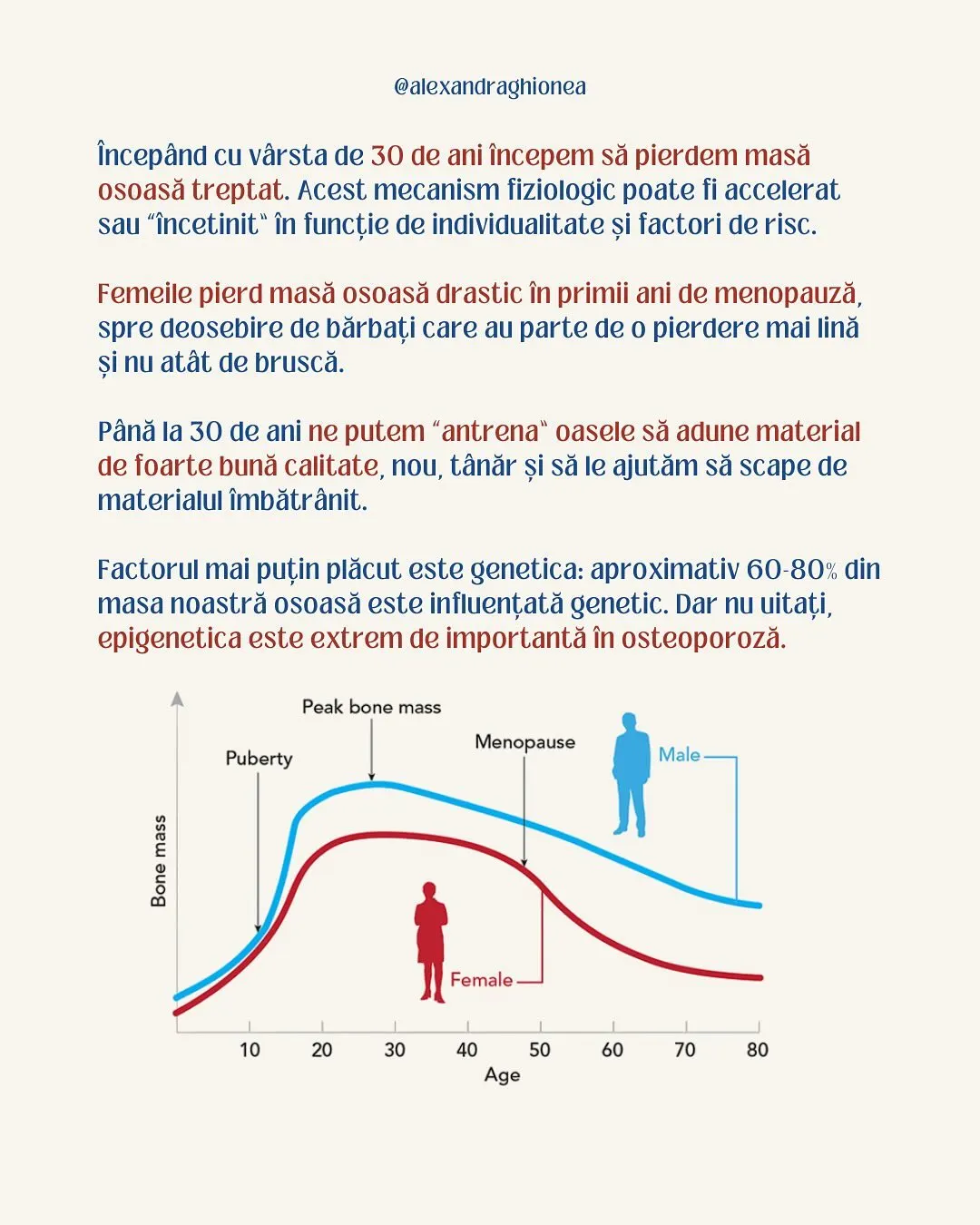Începând cu vârsta de 30 de ani începem să pierdem masă