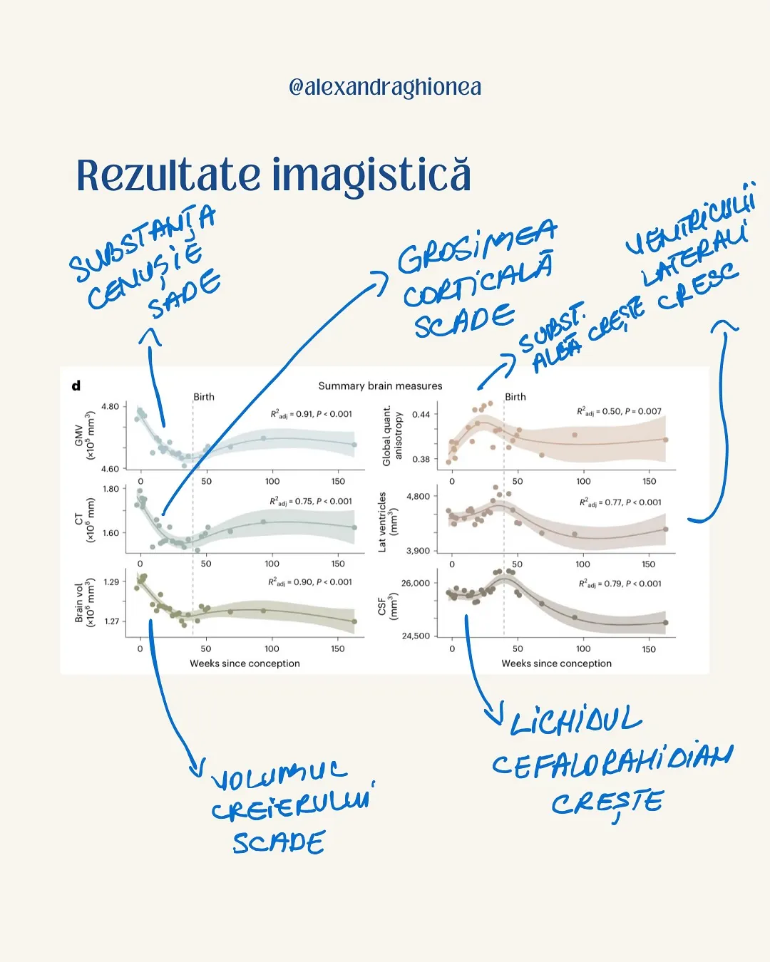 Rezultate imagistică