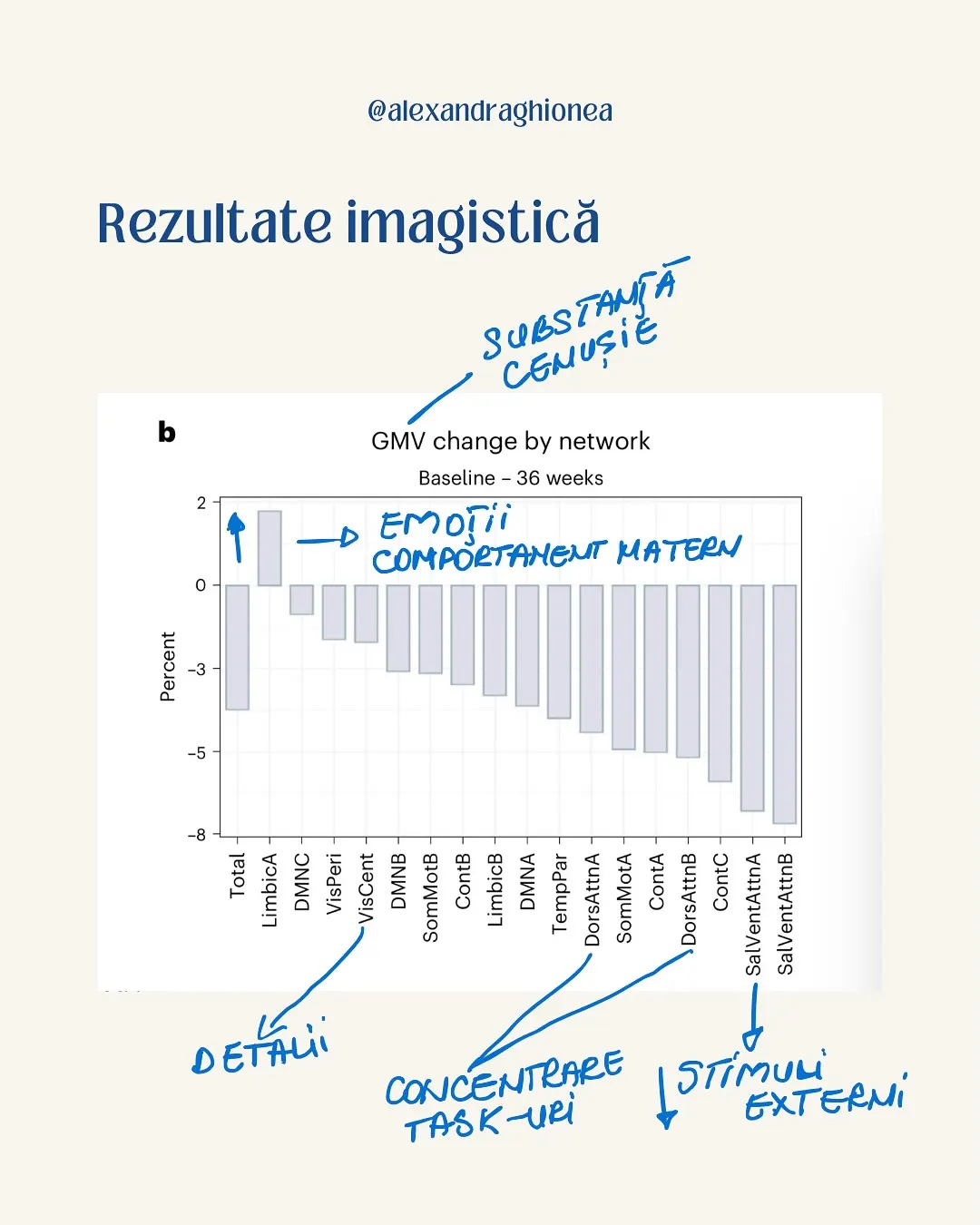 Rezultate imagistică
