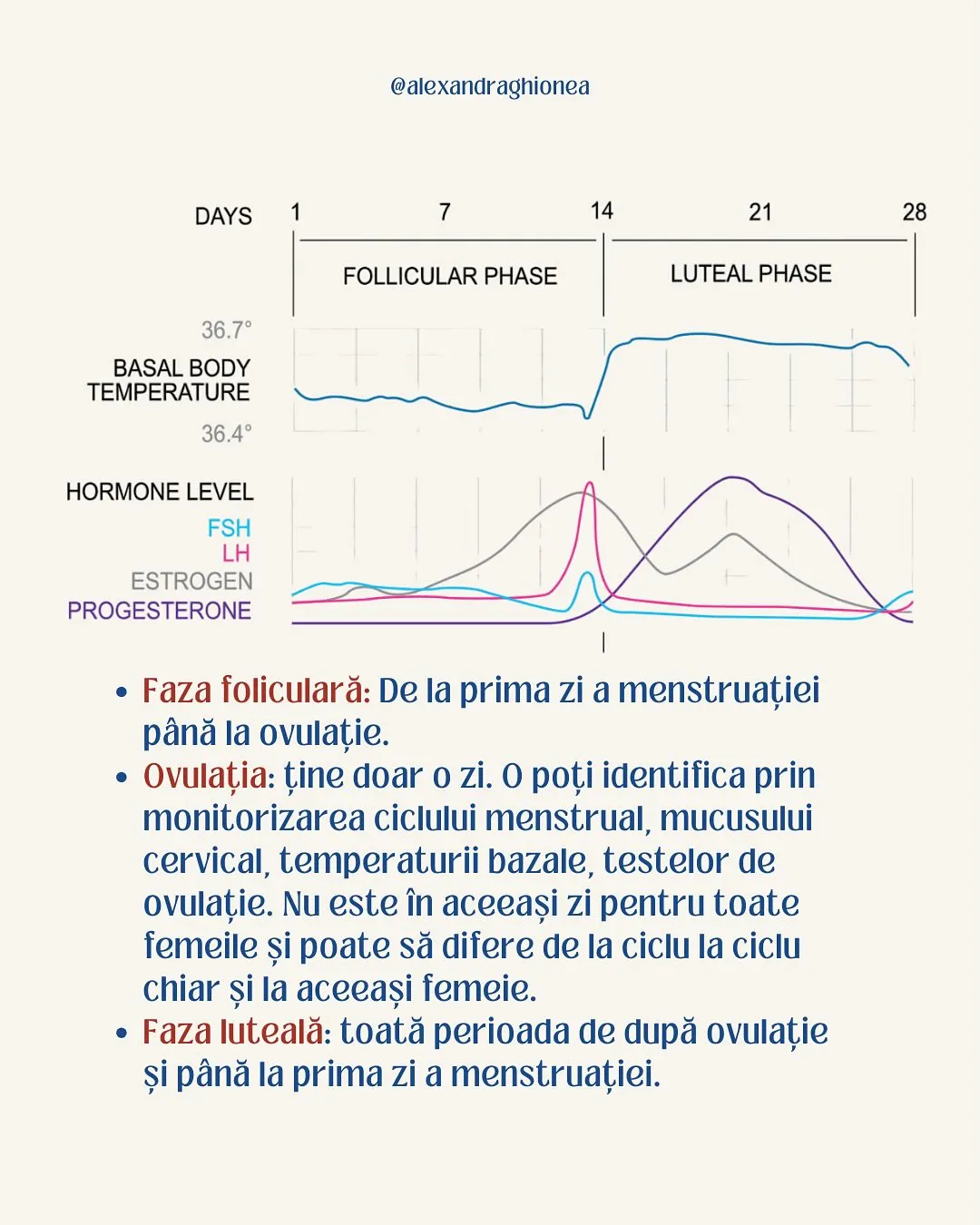 LUTEAL PHASE