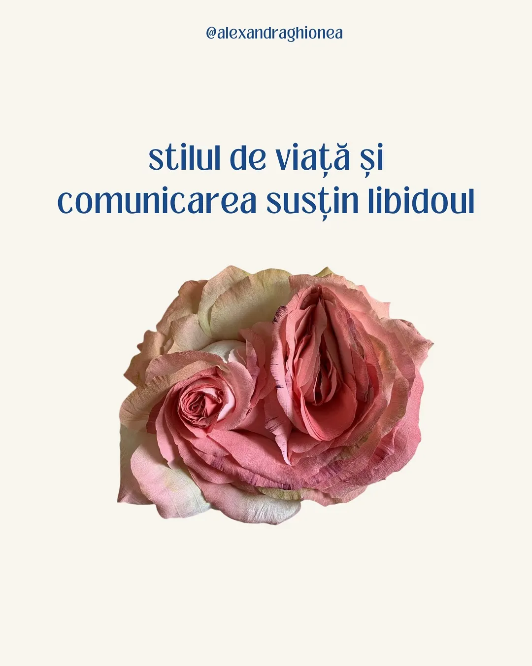 stilul de viață și