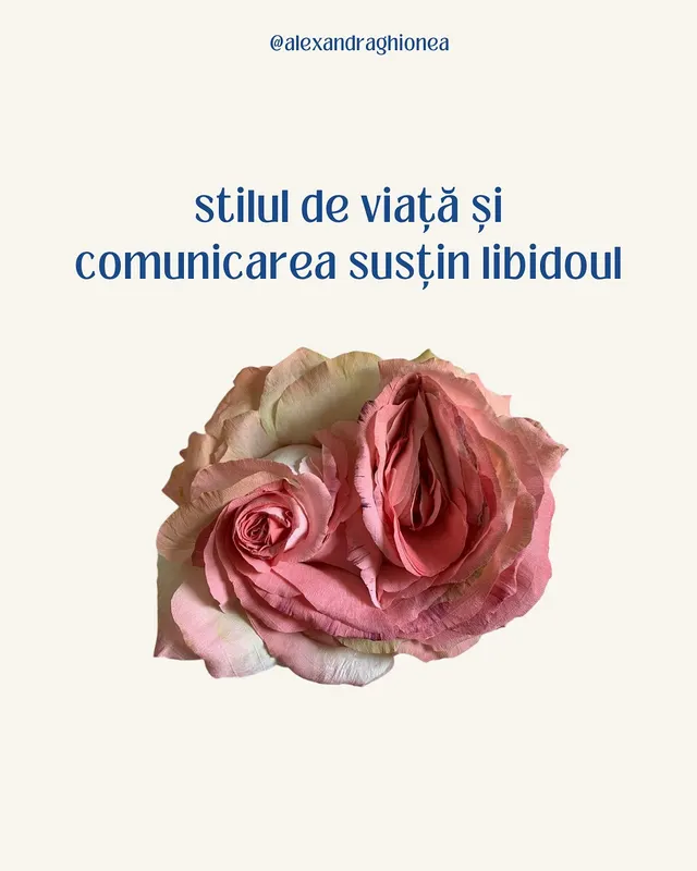 stilul de viață și