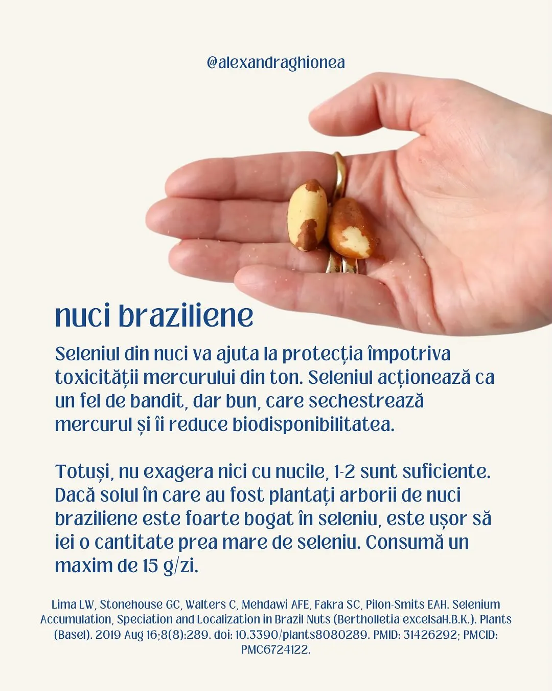 nuci braziliene