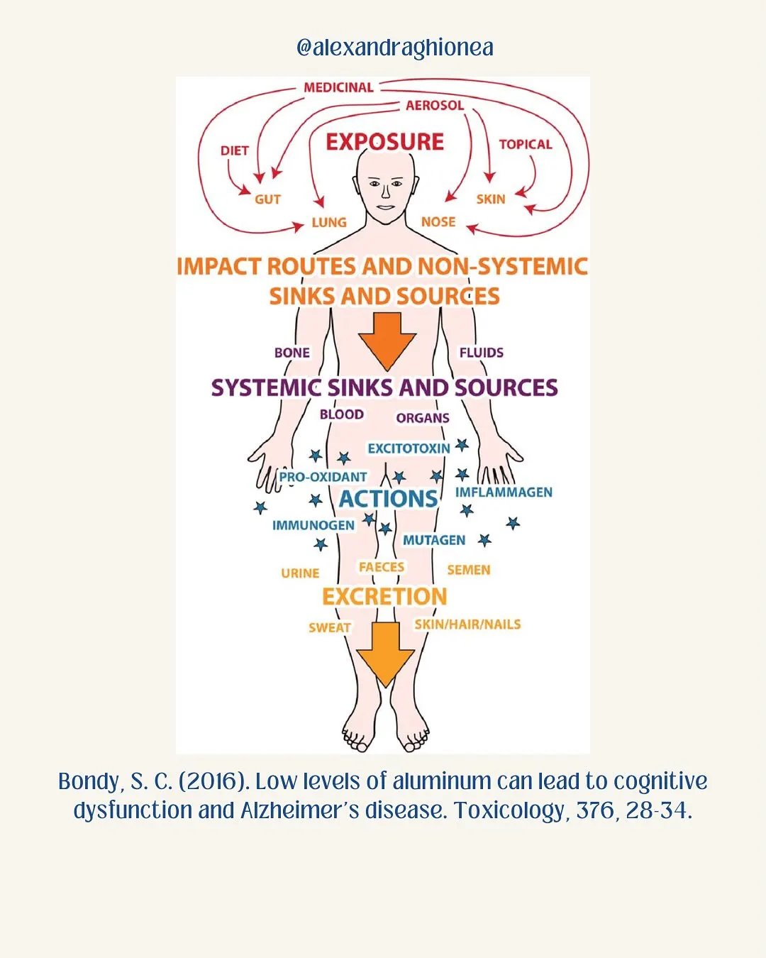IMPACT ROUTES AND NON-SYSTEMIC
