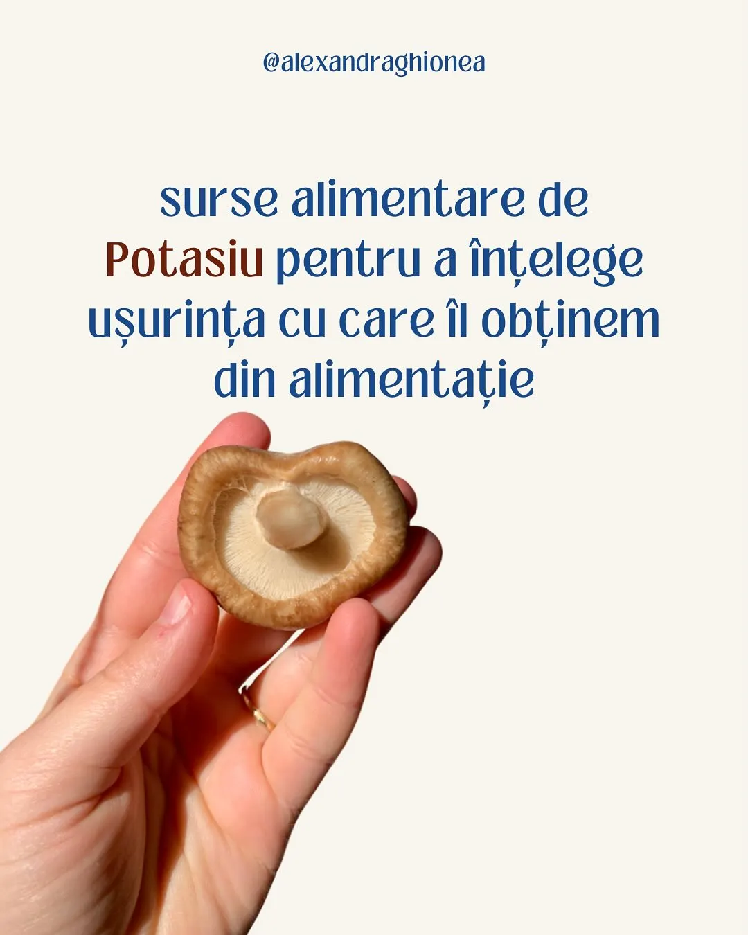 surse alimentare de