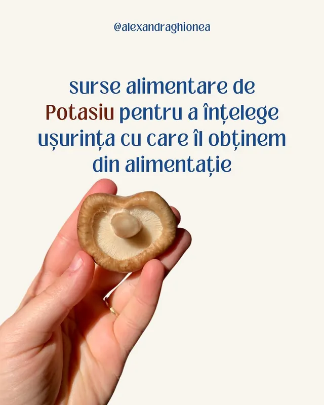 surse alimentare de