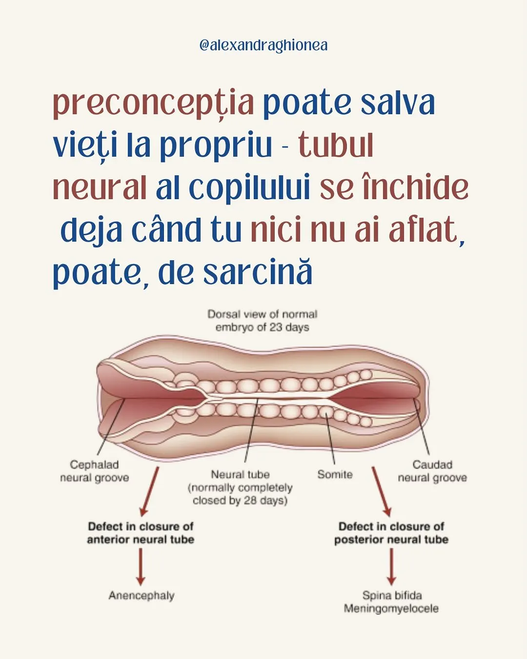 preconcepția poate salva