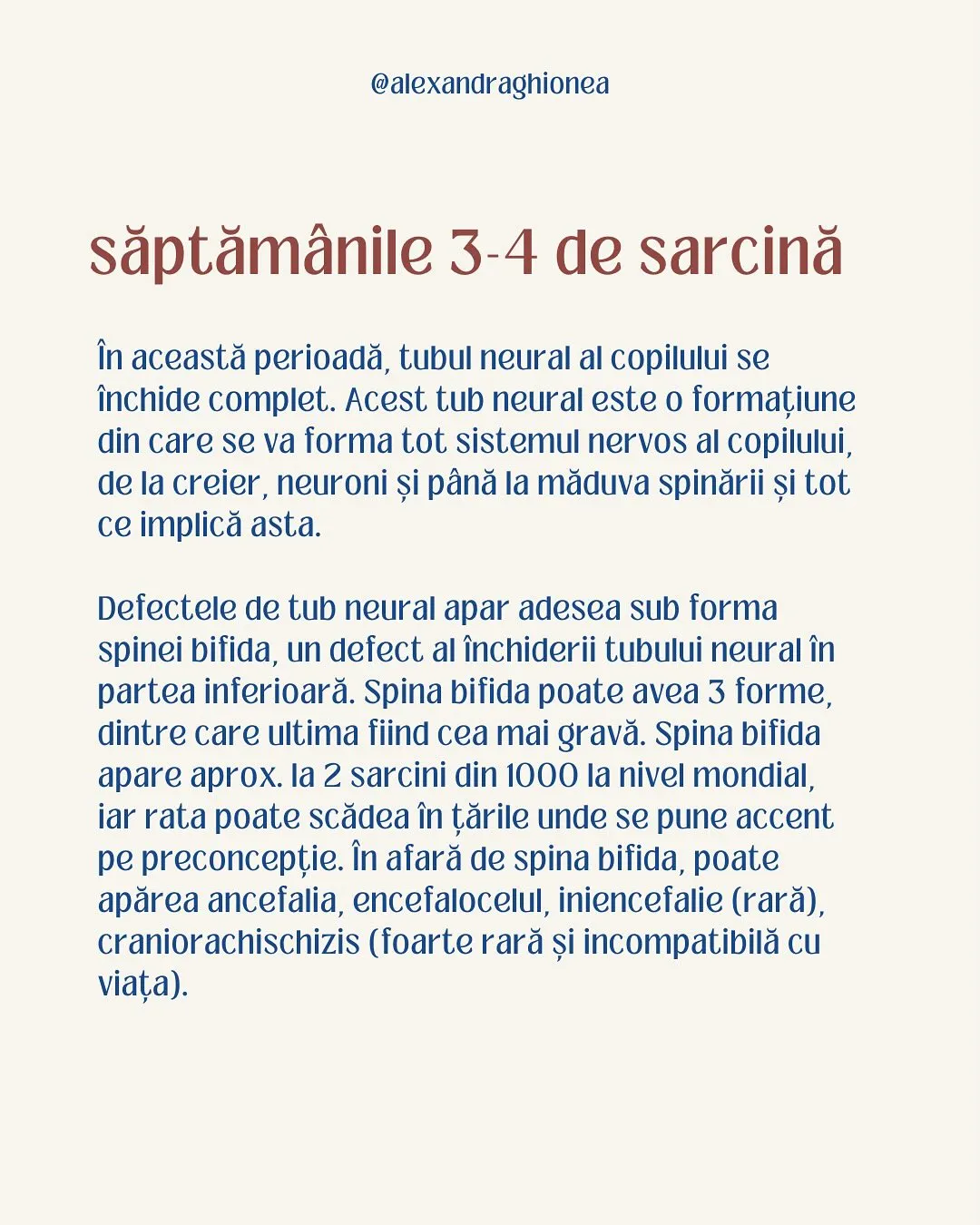 săptămânile 3-4 de sarcină