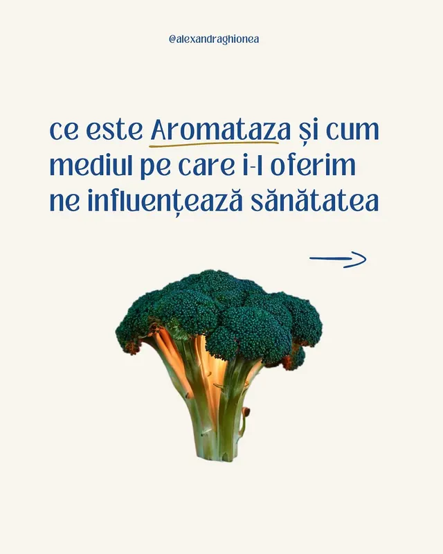 ce este Aromataza și cum
