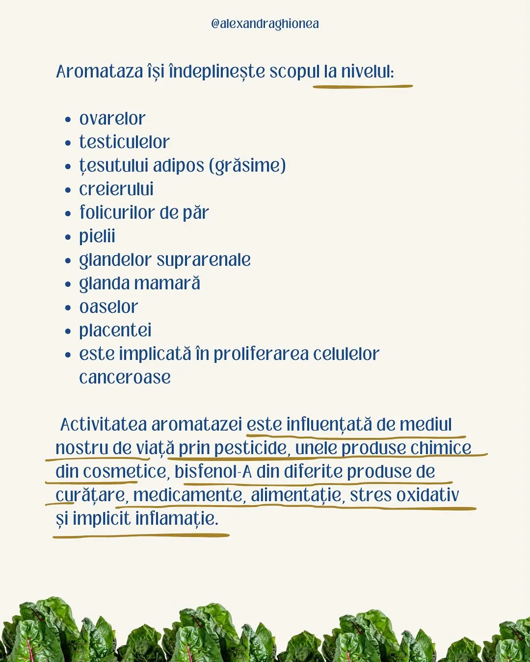 Aromataza își îndeplinește scopul la nivelul:
