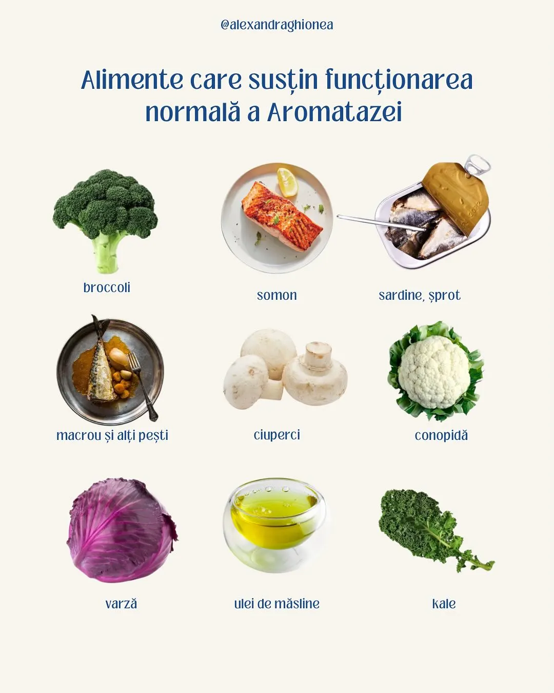 Alimente care susțin funcționarea