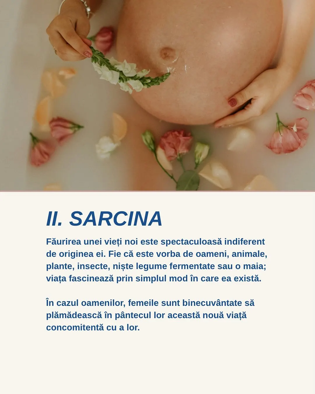 Il. SARCINA