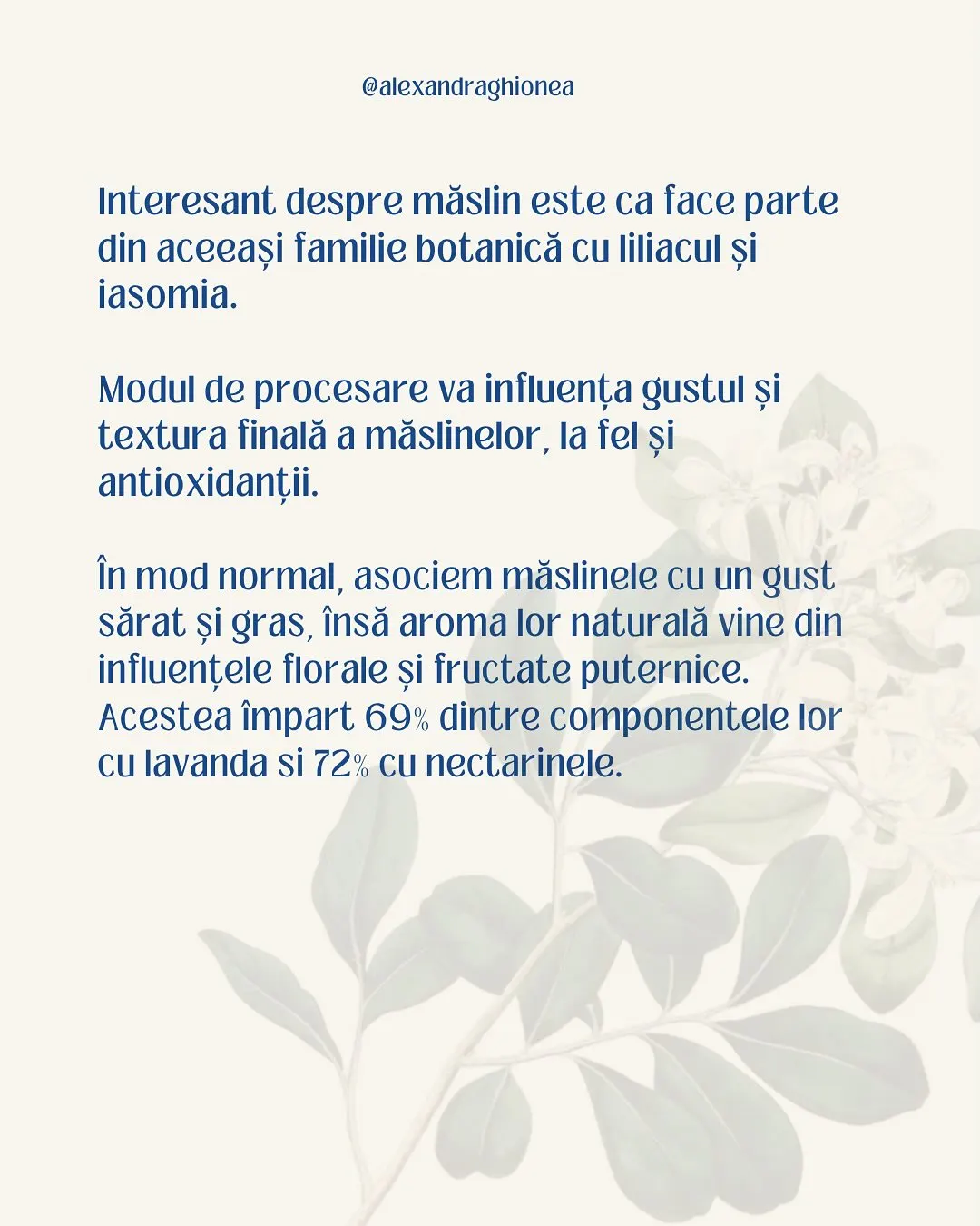 Interesant despre măslin este ca face parte