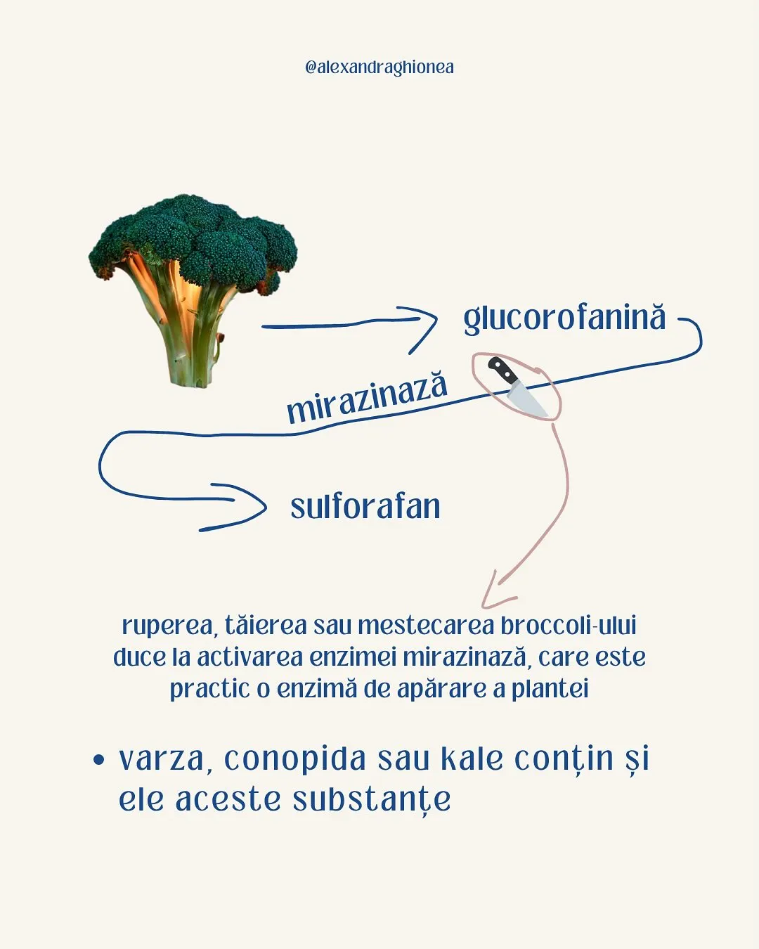 → glucorofanină -