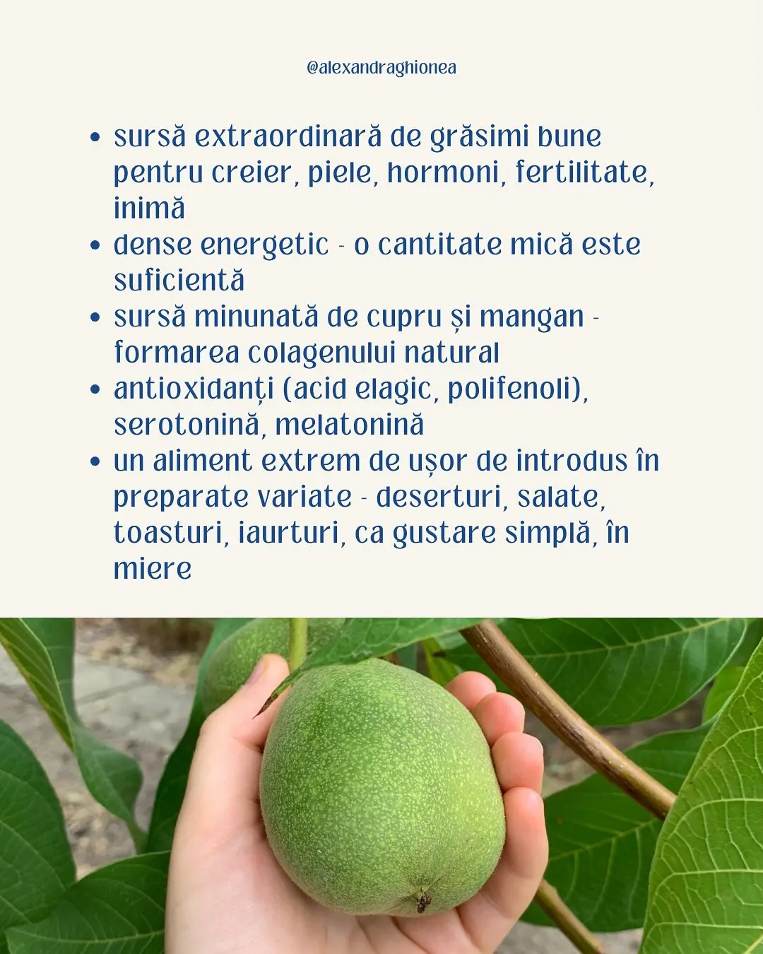 • sursă extraordinară de grăsimi bune