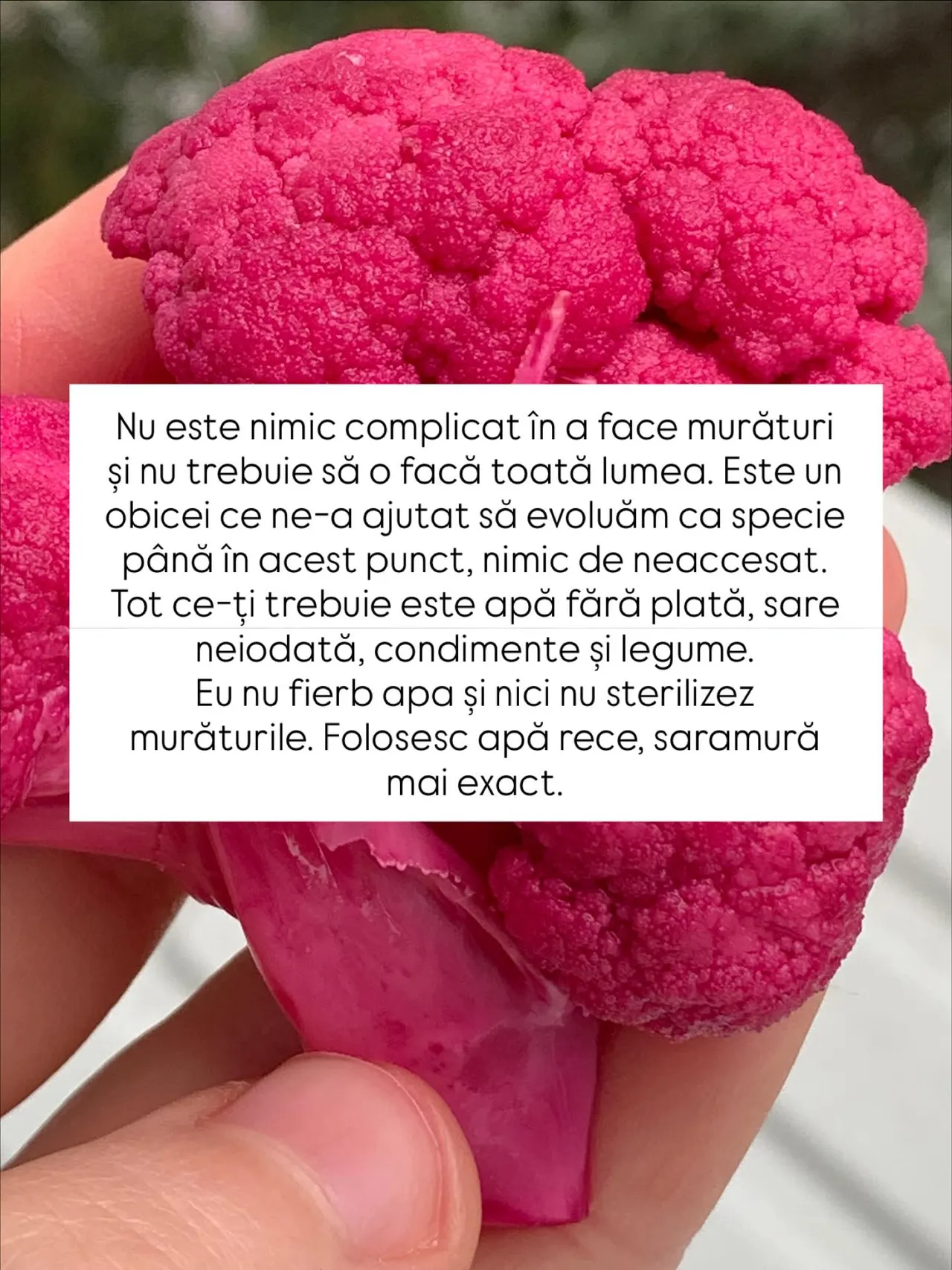 Nu este nimic complicat în a face murături