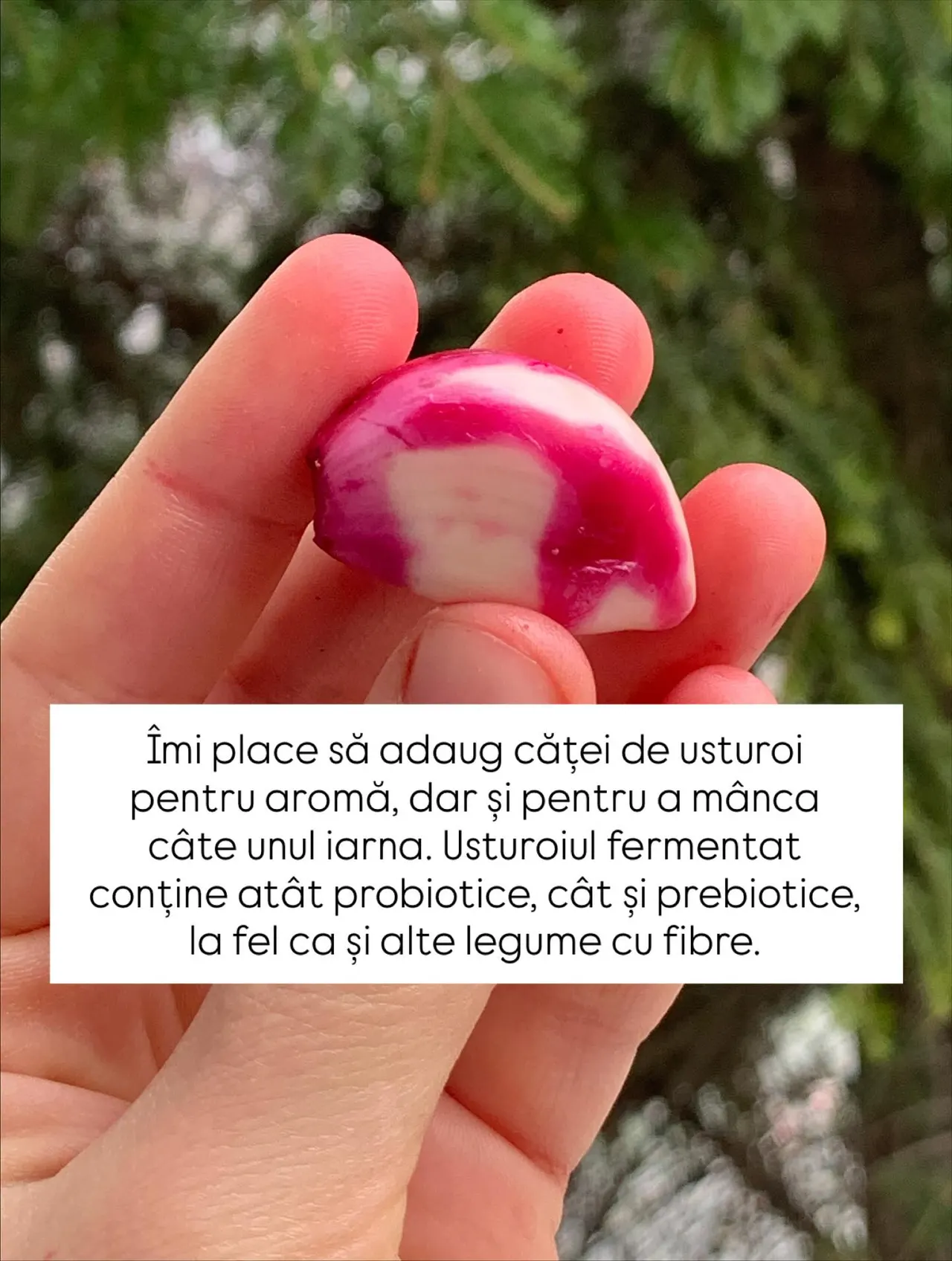 Îmi place să adaug căței de usturoi