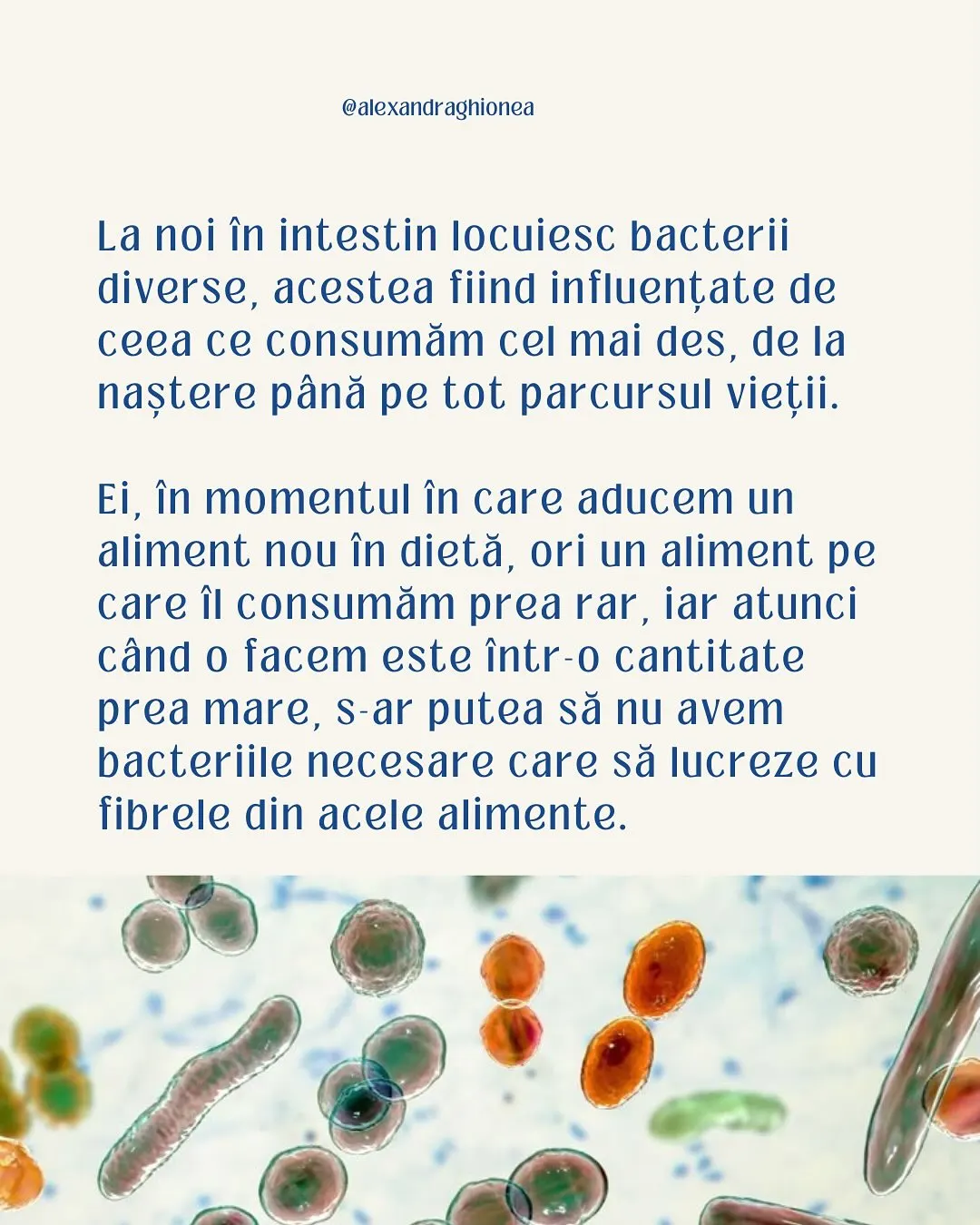 La noi în intestin locuiesc bacterii