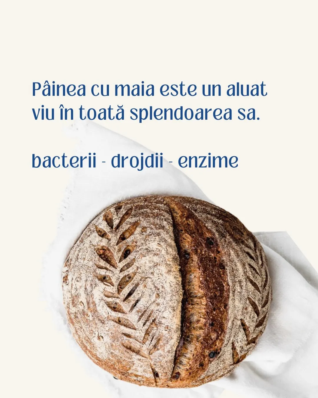 Pâinea cu maia este un aluat