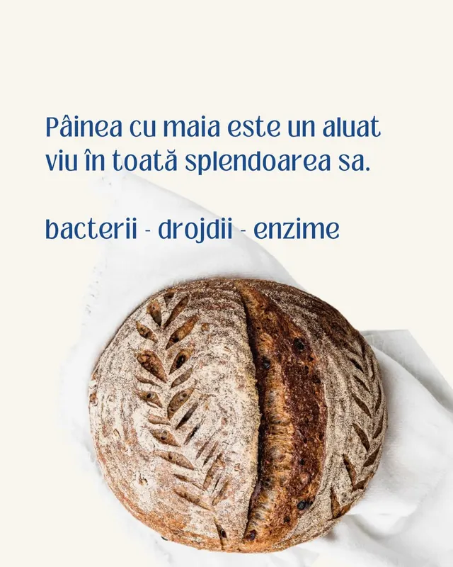 Pâinea cu maia este un aluat