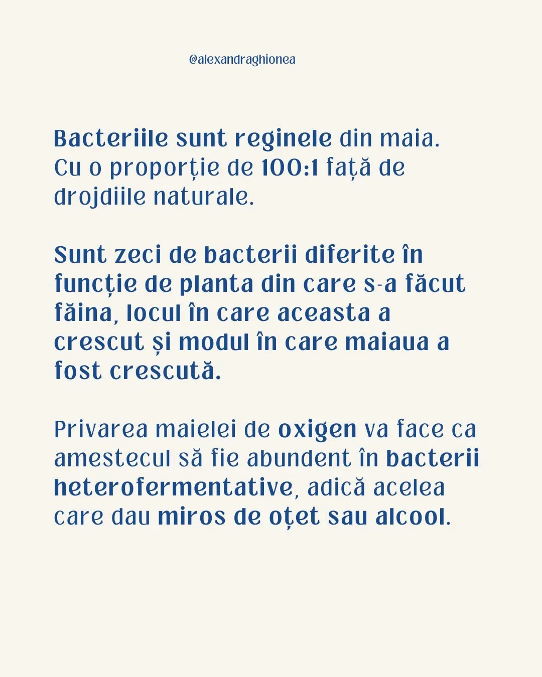 Bacteriile sunt reginele din maia.