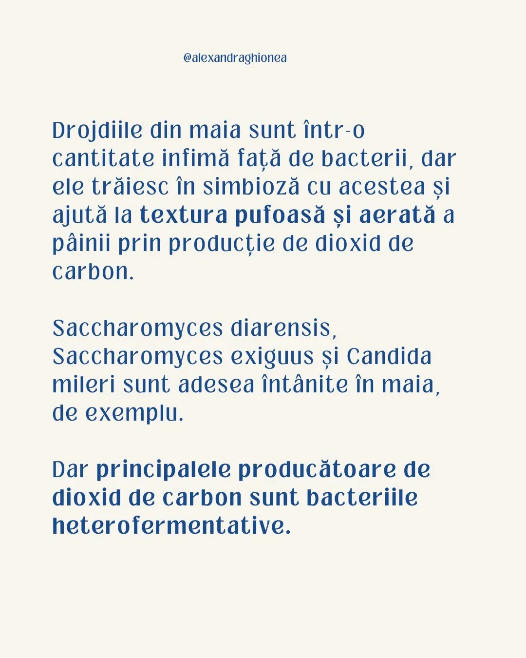 Drojdiile din maia sunt într-o