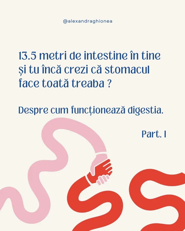 13.5 metri de intestine în tine