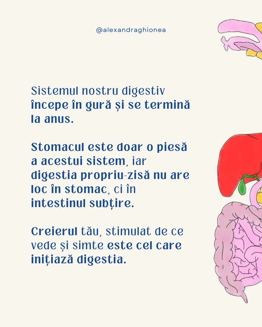 Sistemul nostru digestiv