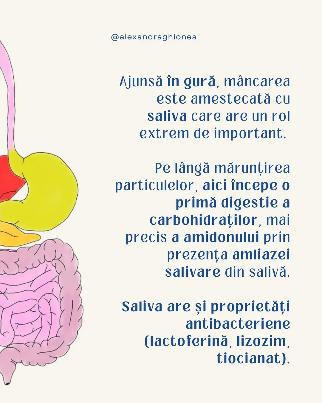 Ajunsă în gură, mâncarea