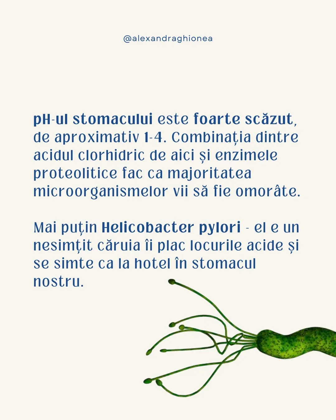 pH-ul stomacului este foarte scăzut,