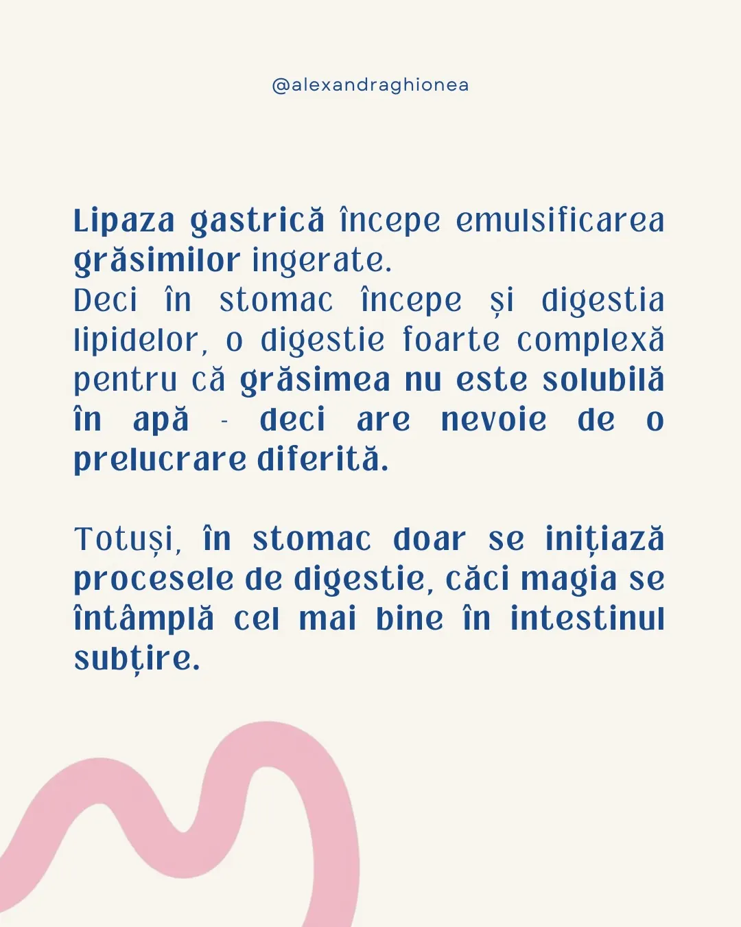 Lipaza gastrică începe emulsificarea