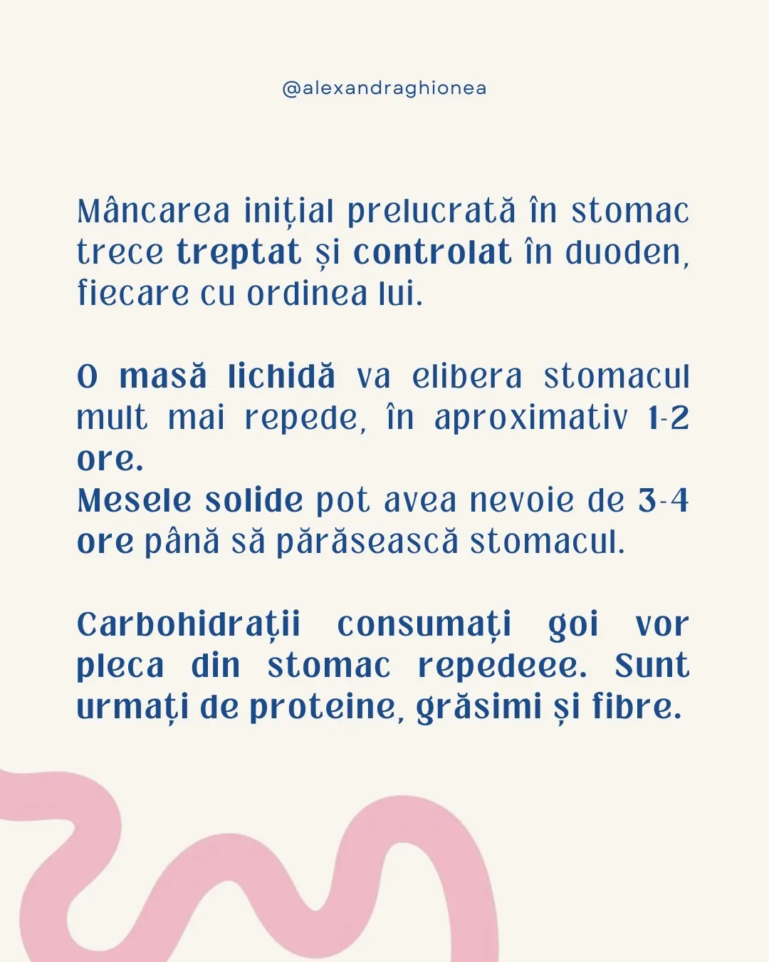 Mâncarea inițial prelucrată în stomac