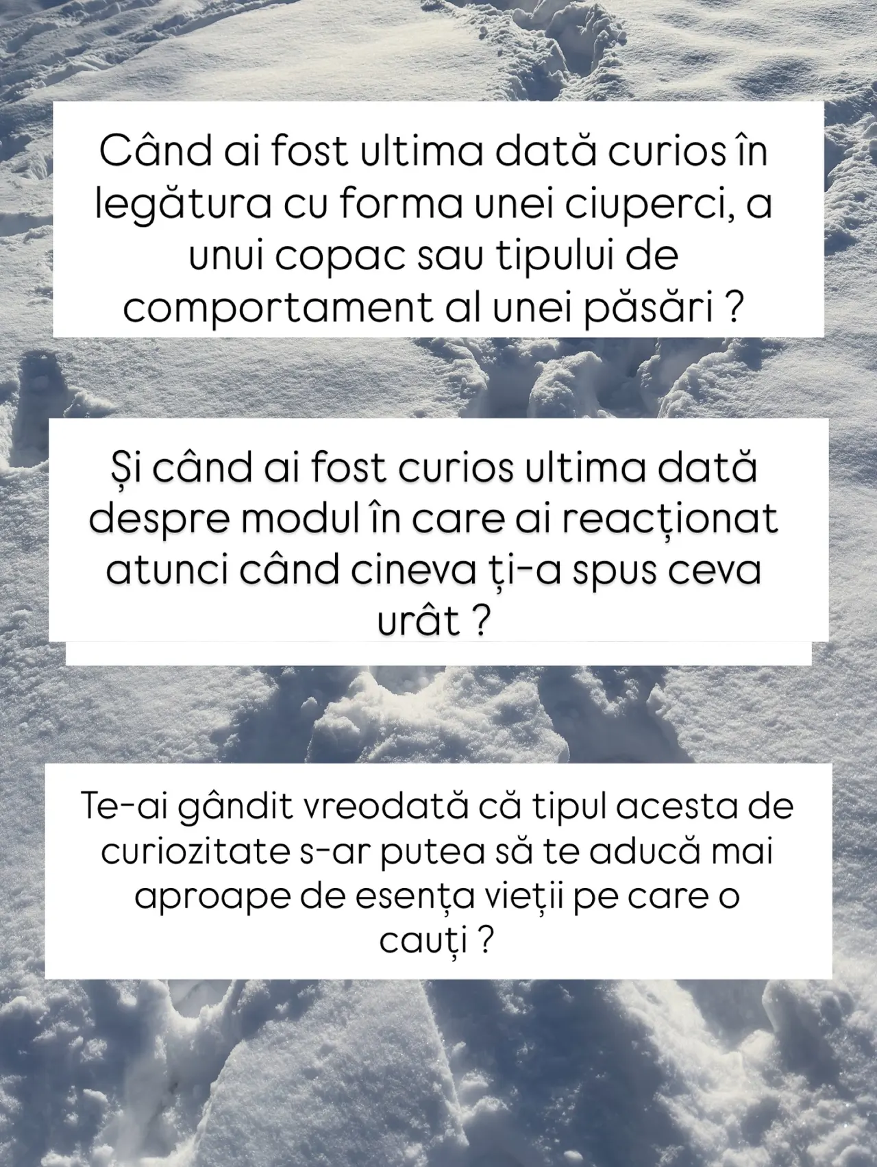 Când ai fost ultima dată curios în